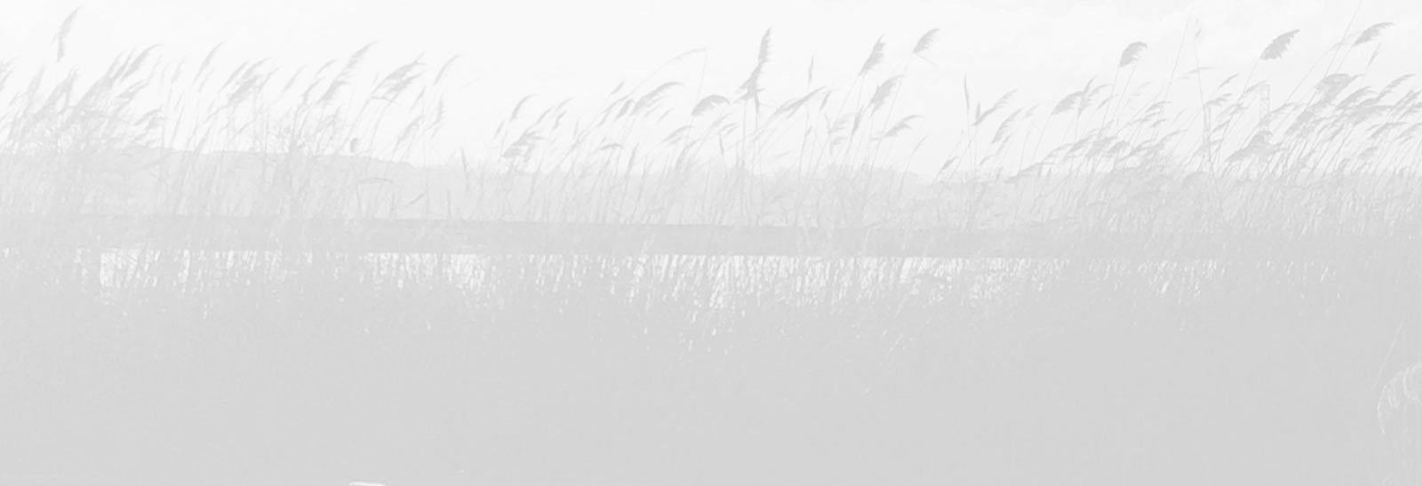 ABOUT MEADOWLANDS LIVE! CONVENTIONS & VISITOR BUREAU